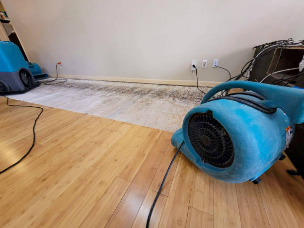 Professional Water Damage Repair technician working in Guntersville, AL